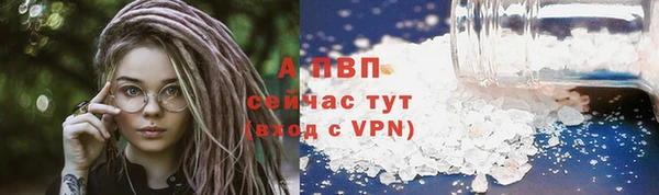 крисы Медвежьегорск
