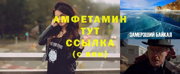 PSILOCYBIN Майский
