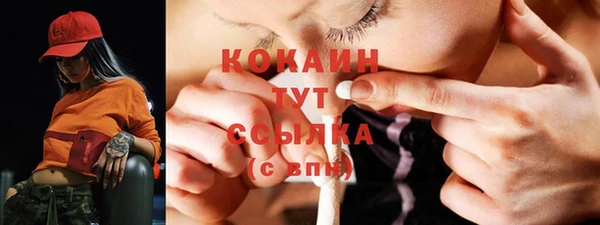 PSILOCYBIN Майский