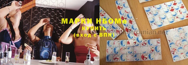 PSILOCYBIN Майский