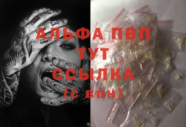 PSILOCYBIN Майский