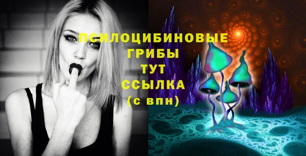 PSILOCYBIN Майский