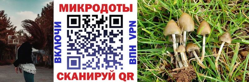 Псилоцибиновые грибы ЛСД Тихвин
