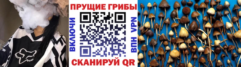 ссылка на мегу ССЫЛКА  Тихвин  Галлюциногенные грибы Psilocybine cubensis 