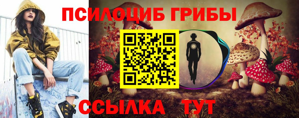 Псилоцибиновые грибы мухоморы Тихвин