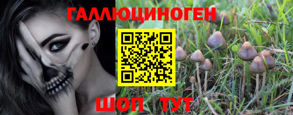 Псилоцибиновые грибы Psilocybe  Галлюциногенные грибы GOLDEN TEACHER  где купить   Тихвин  Вход с VPN 